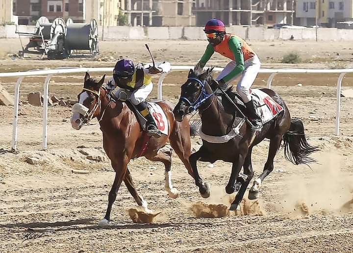 عضو يتقدم بـ ( 19 ) طعن في عمومية نادي العاصمة لسباق الخيل و قرابة الـ ( 300 ) ألف رسوم الطعون