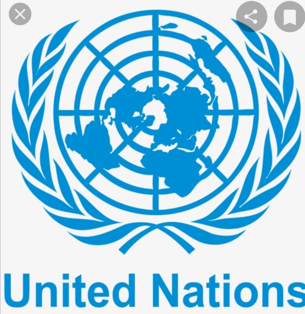 الرياضة السودانية تحت البند السادس من ميثاق الأمم المتحدة .. الوزيرة تسبح عكس التيار