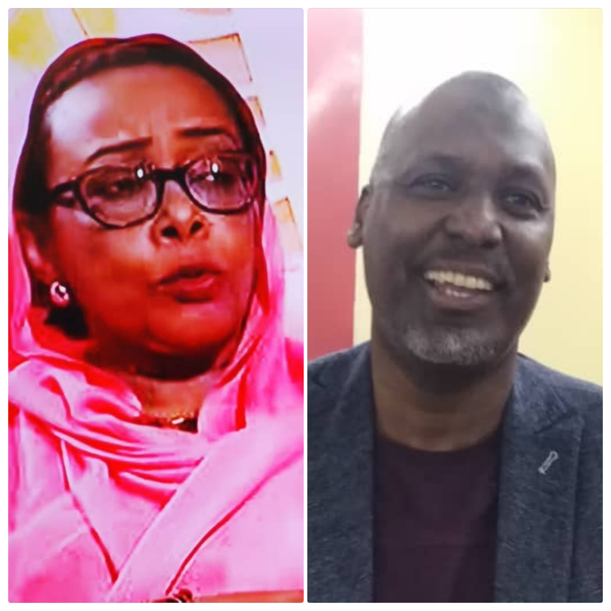 الوزيرة السابقة .. مولانا .. من يقود الريشة الطائرة السودانية !؟